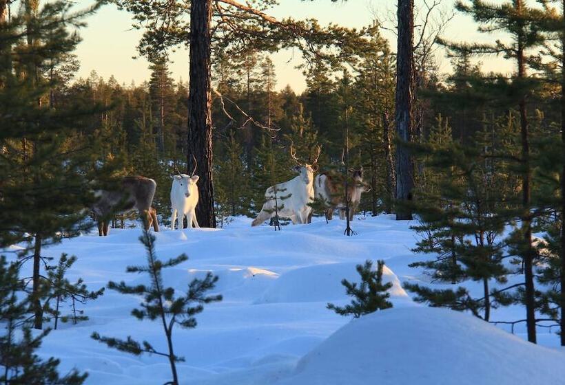 Sporthotell Särna