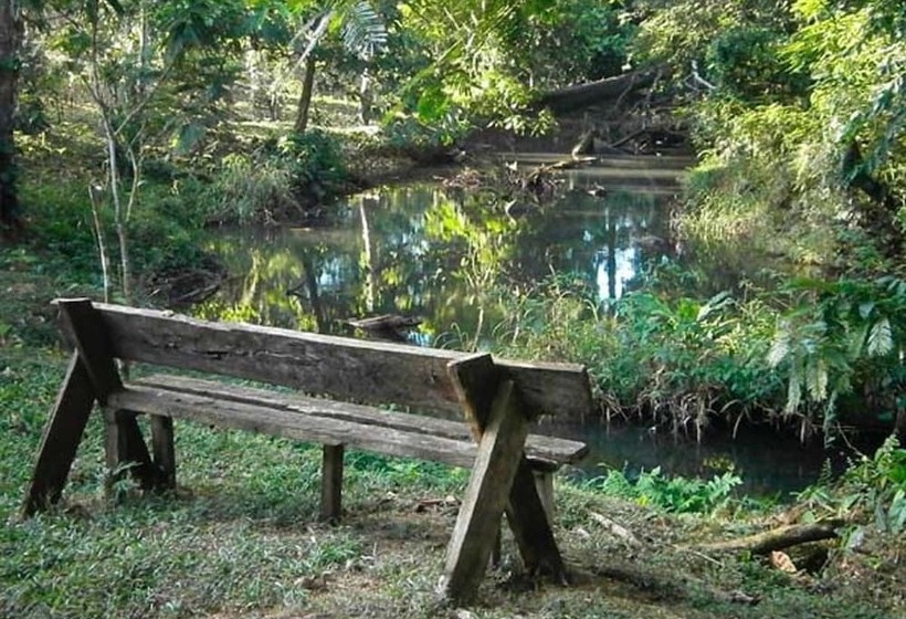 Vanilla Jungle Lodge   Bed & Breakfast