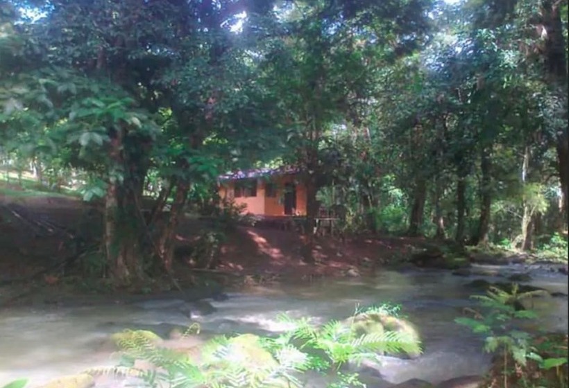 Vanilla Jungle Lodge   Bed & Breakfast