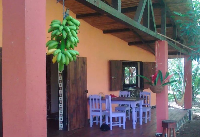 Vanilla Jungle Lodge   Bed & Breakfast