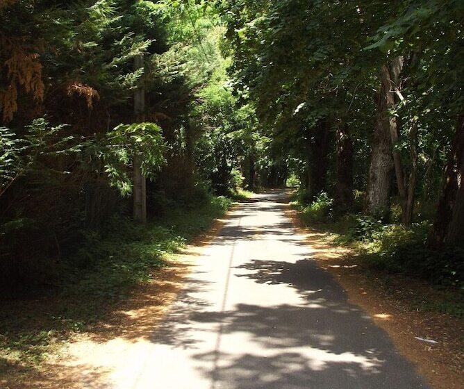 بنسيون Le Domaine De Jaugy