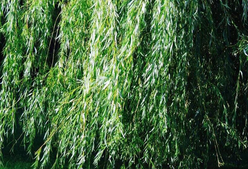 Bed and Breakfast Maison In Normandie