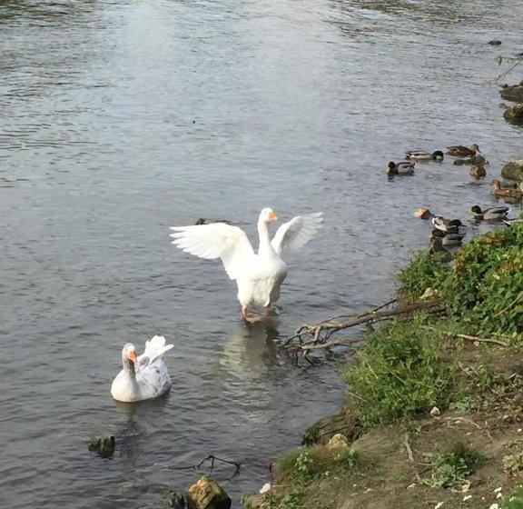 Bed and Breakfast Maison In Normandie