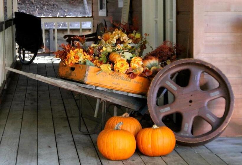 住宿加早餐  J Patrick Inn