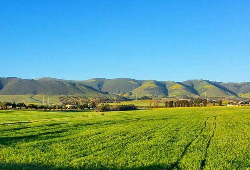 Bed and Breakfast Kaleidoscope Inn & Gardens