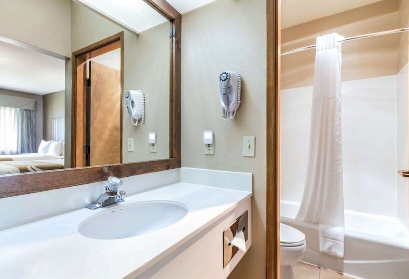 酒店 Quality Inn & Suites Bainbridge Island