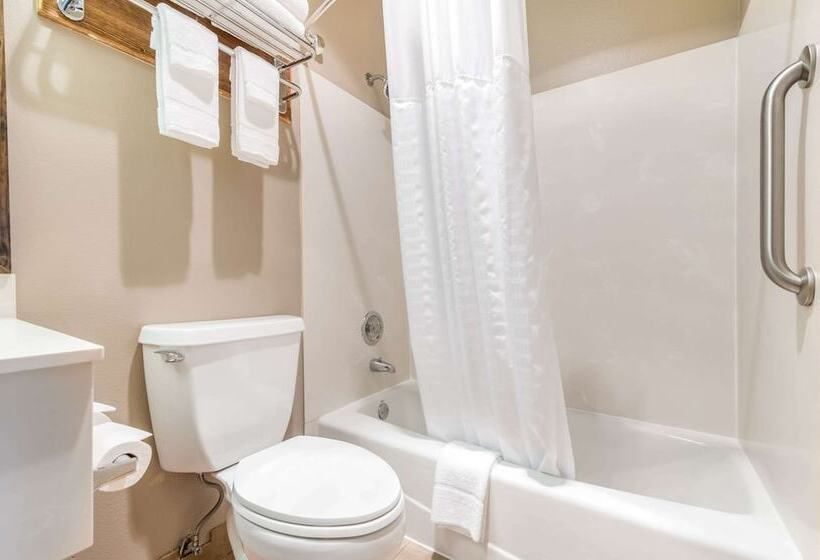 酒店 Quality Inn & Suites Bainbridge Island