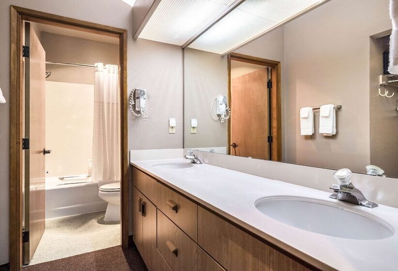 酒店 Quality Inn & Suites Bainbridge Island