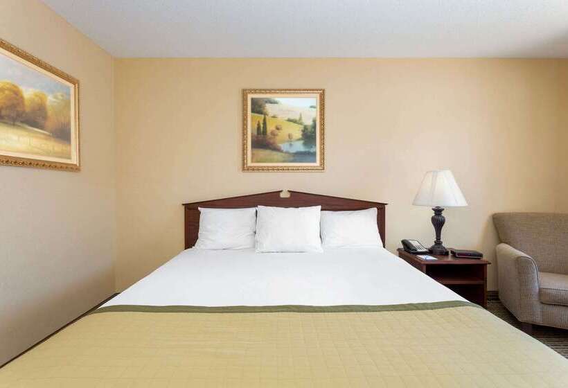 酒店 Baymont By Wyndham Easley/greenville