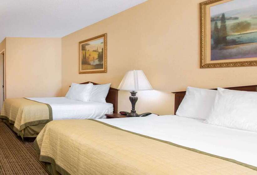 酒店 Baymont By Wyndham Easley/greenville