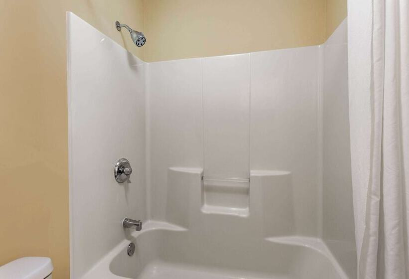 酒店 Baymont By Wyndham Easley/greenville