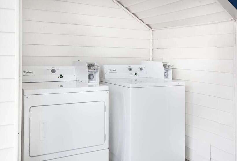 酒店 Baymont By Wyndham Tuscaloosa