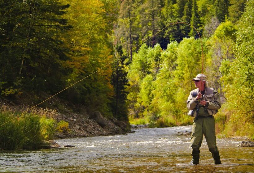 فندق Best Western Black Hills Lodge