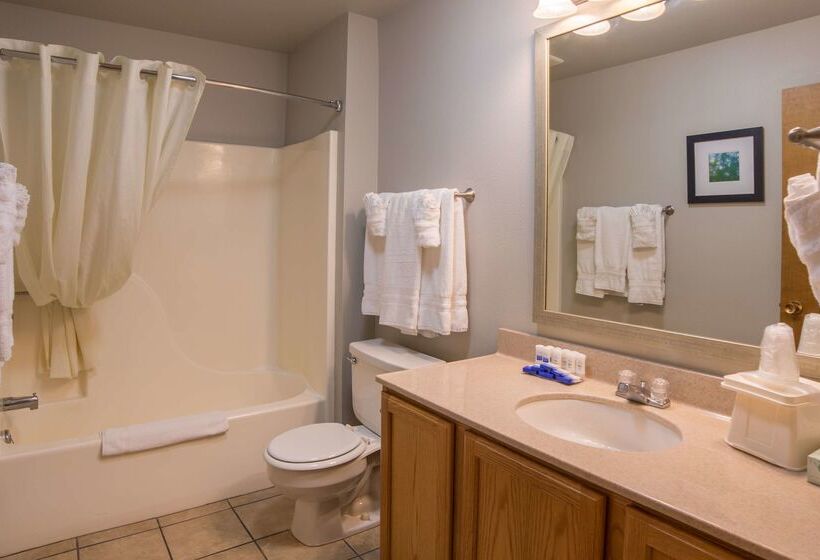 فندق Best Western Black Hills Lodge