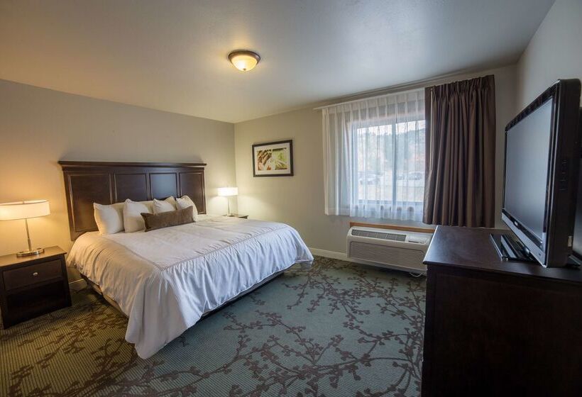فندق Best Western Black Hills Lodge