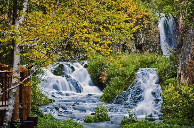 فندق Best Western Black Hills Lodge