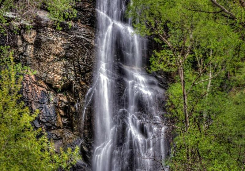 فندق Best Western Black Hills Lodge