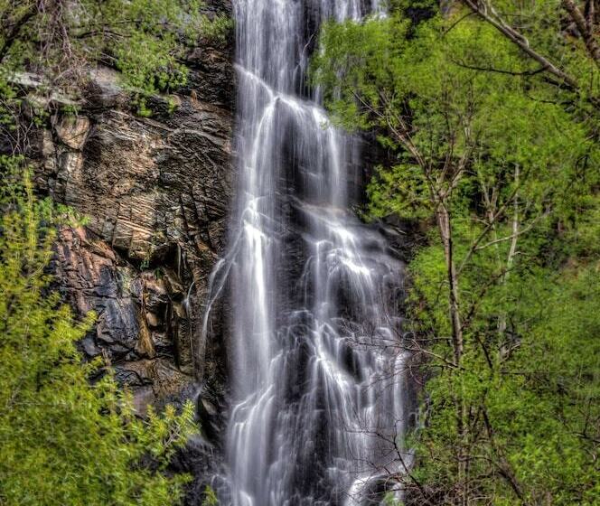 فندق Best Western Black Hills Lodge