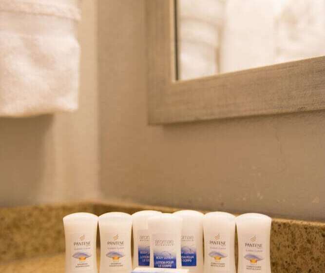 فندق Best Western Black Hills Lodge