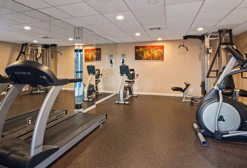 فندق Best Western Plus Irvine Spectrum