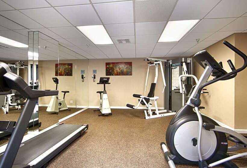 فندق Best Western Plus Irvine Spectrum