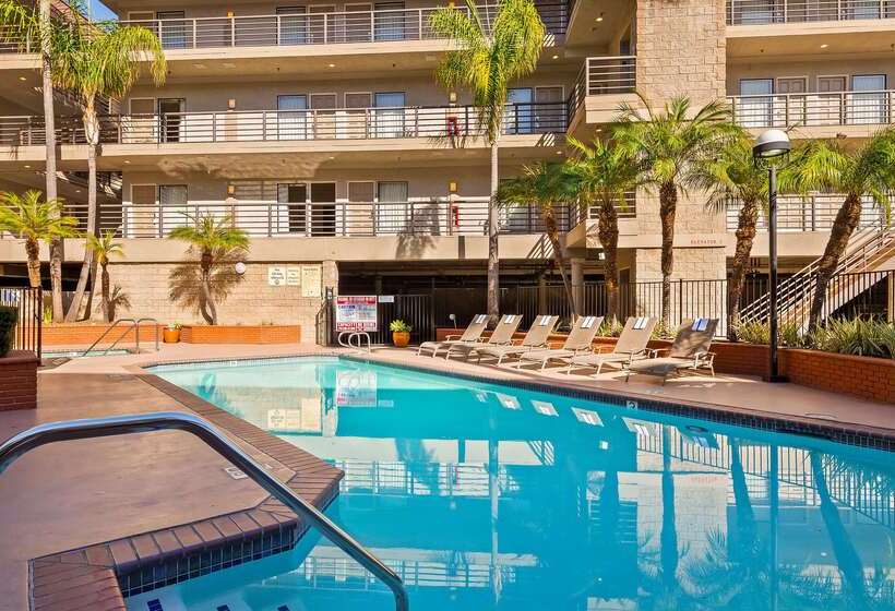 فندق Best Western Plus Irvine Spectrum