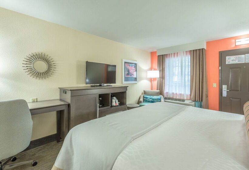 酒店 Best Western Plus St. Simons