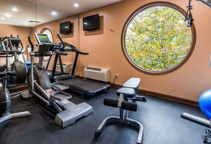 فندق Best Western Plus The Inn & Suites At The Falls