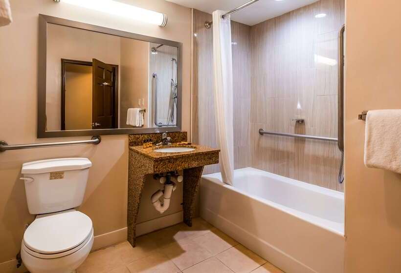 فندق Best Western Plus The Inn & Suites At The Falls