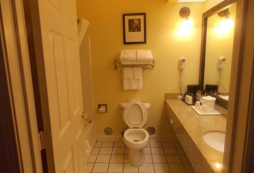 ホテル Decatur Inn & Suites