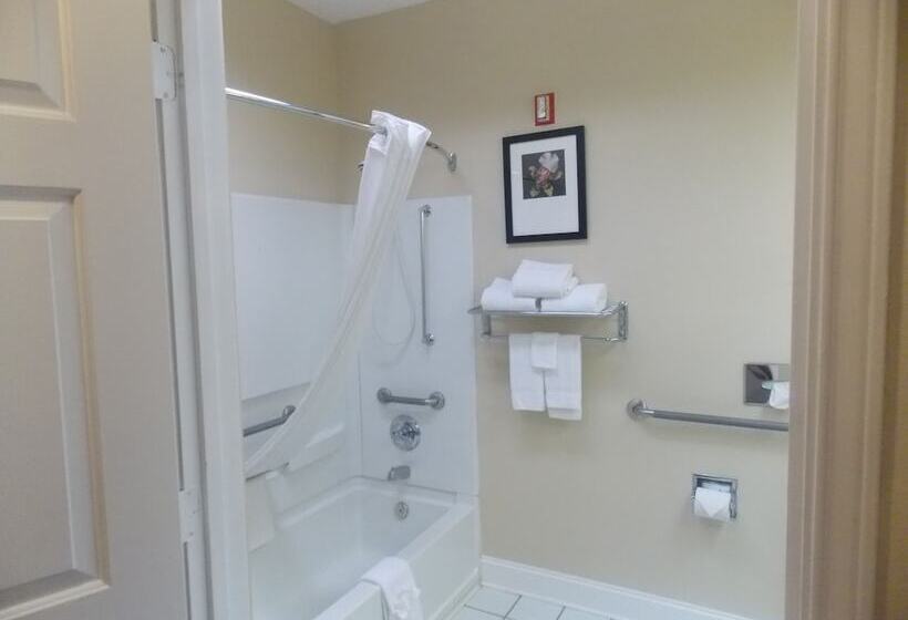 ホテル Decatur Inn & Suites