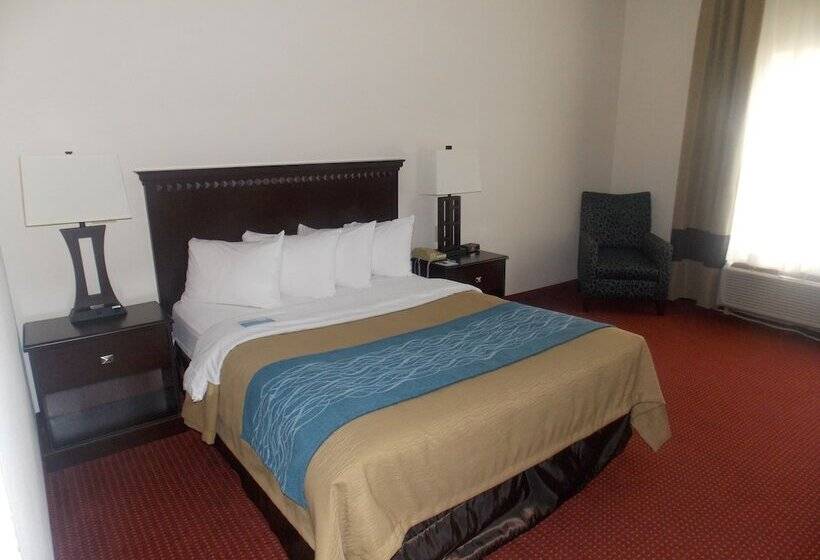 ホテル Decatur Inn & Suites