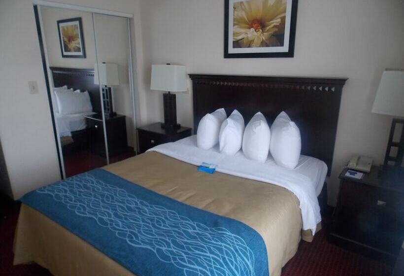 ホテル Decatur Inn & Suites