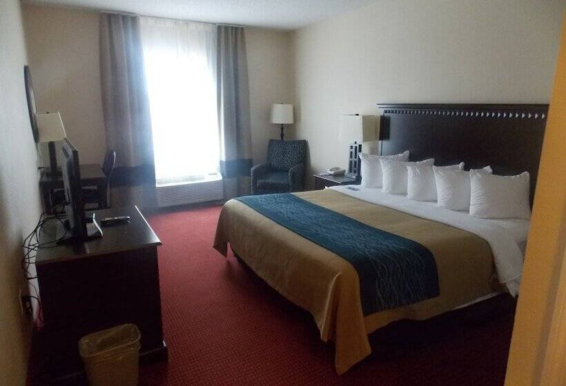 ホテル Decatur Inn & Suites