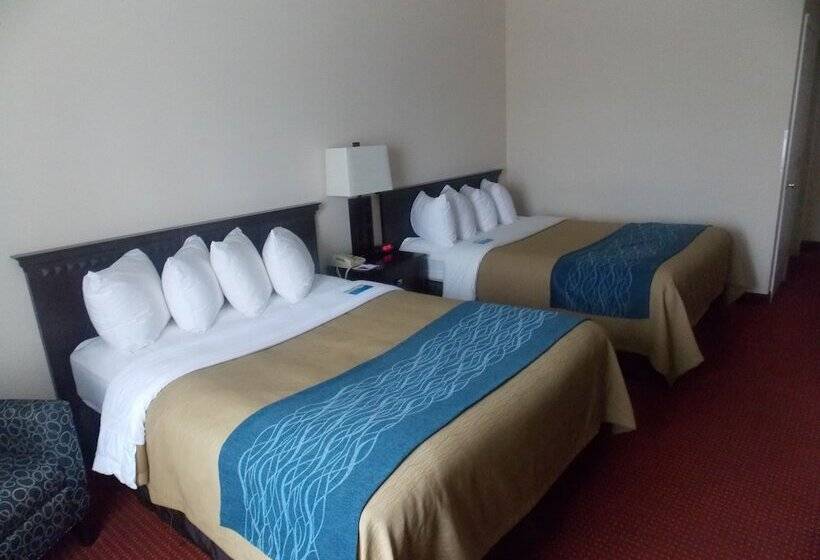 ホテル Decatur Inn & Suites