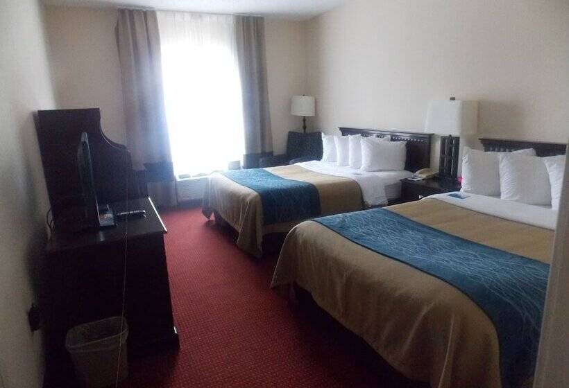 ホテル Decatur Inn & Suites