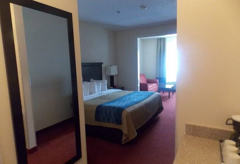 ホテル Decatur Inn & Suites