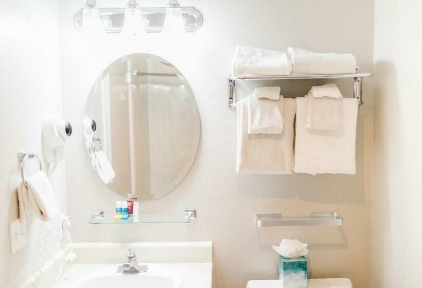 فندق Friday Harbor Suites