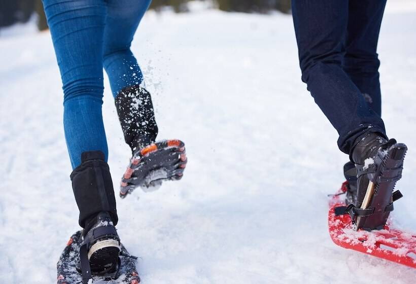 Отель Cottages & Suites Geneva National