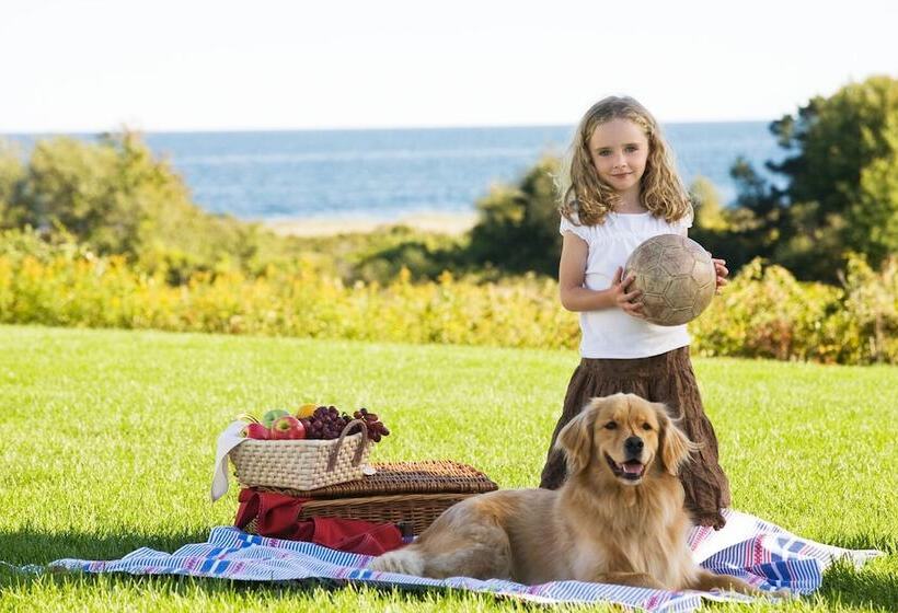 酒店 Inn By The Sea