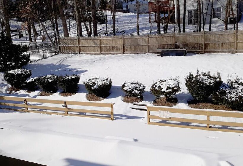 酒店 Iron Horse Inn