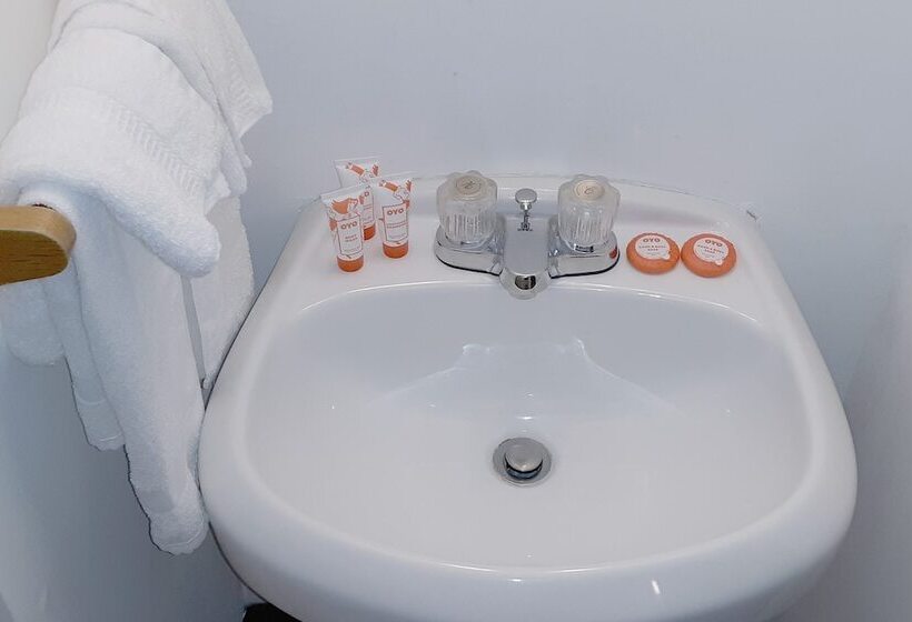 酒店 Iron Horse Inn