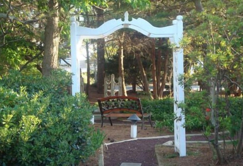 فندق Island Resort