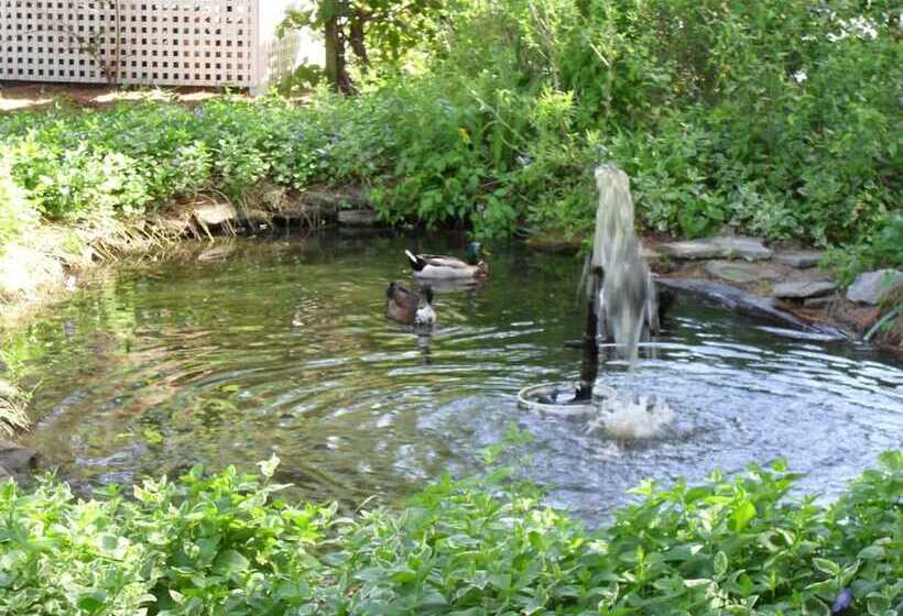 فندق Island Resort