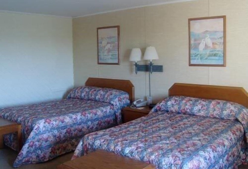 فندق Island Resort