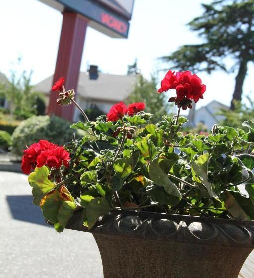 فندق Islands Inn