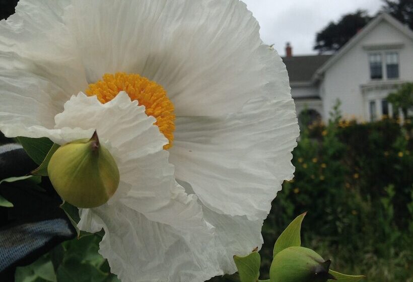 Отель Joshua Grindle Inn