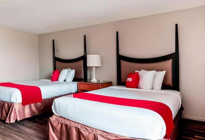 Hotel Kings Inn Scottish Inn Alice