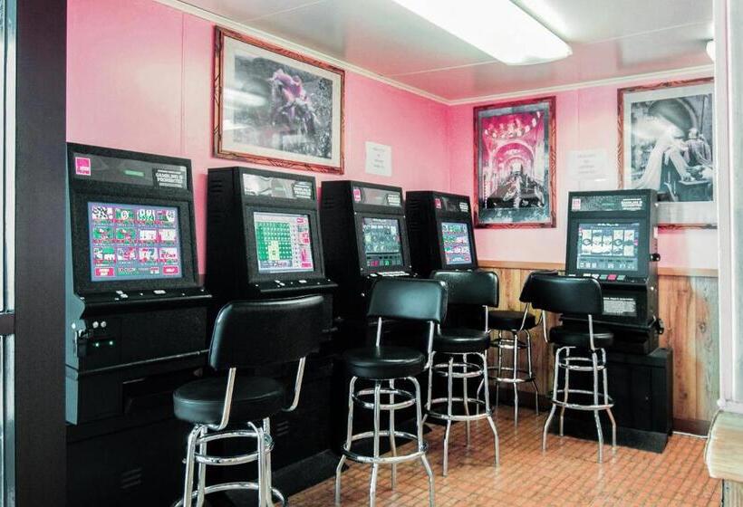 Hotel Kings Inn Scottish Inn Alice