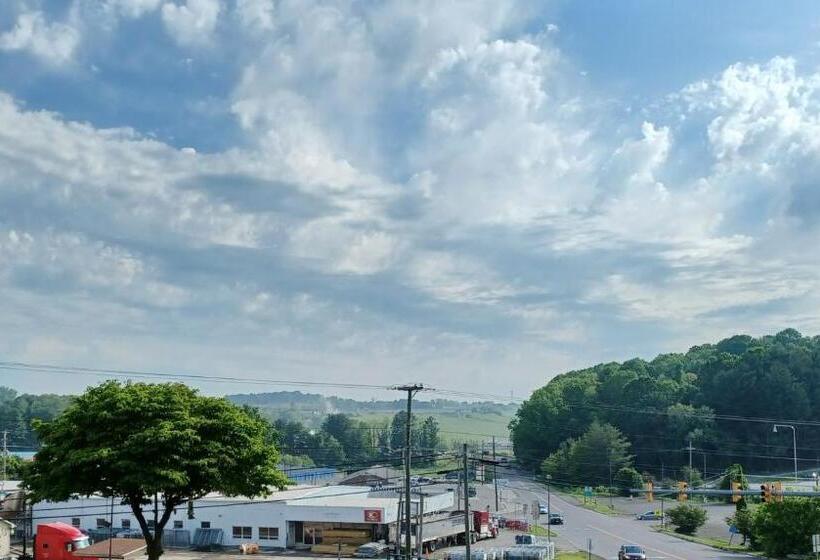 Отель Knob Hill Motor Lodge